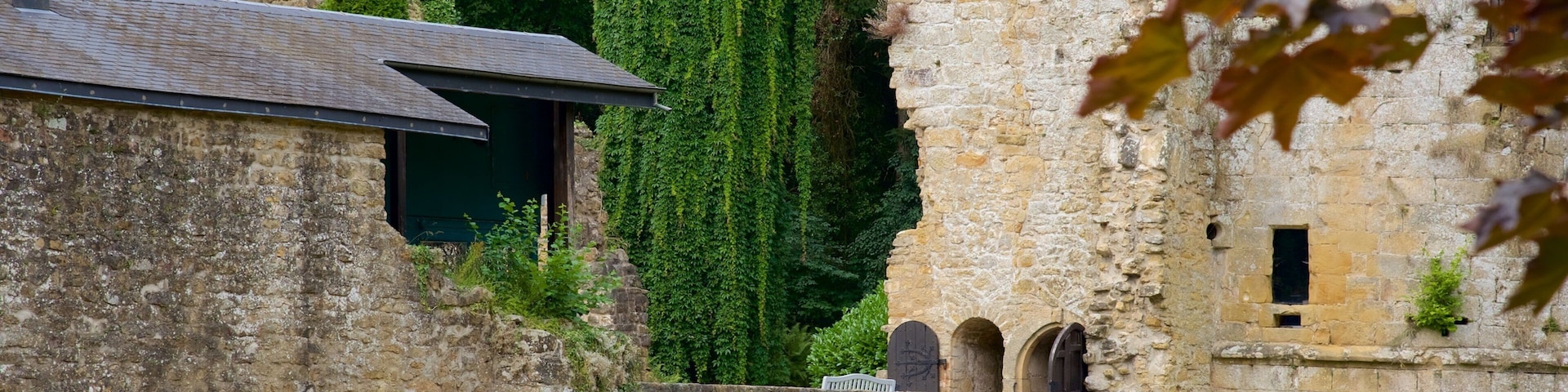 Luxembourg showing chateau or palace, heritage architecture and heritage elements