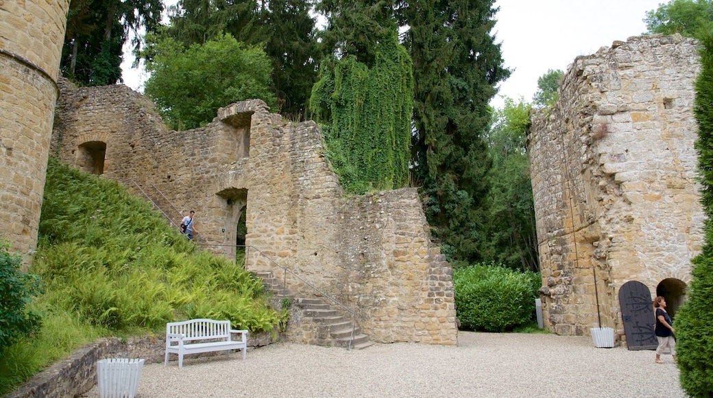 Luxembourg mettant en vedette patrimoine architectural, chĂąteau ou palais et patrimoine historique