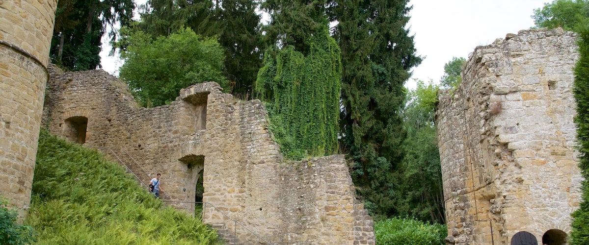 Luxembourg which includes heritage elements, a castle and heritage architecture