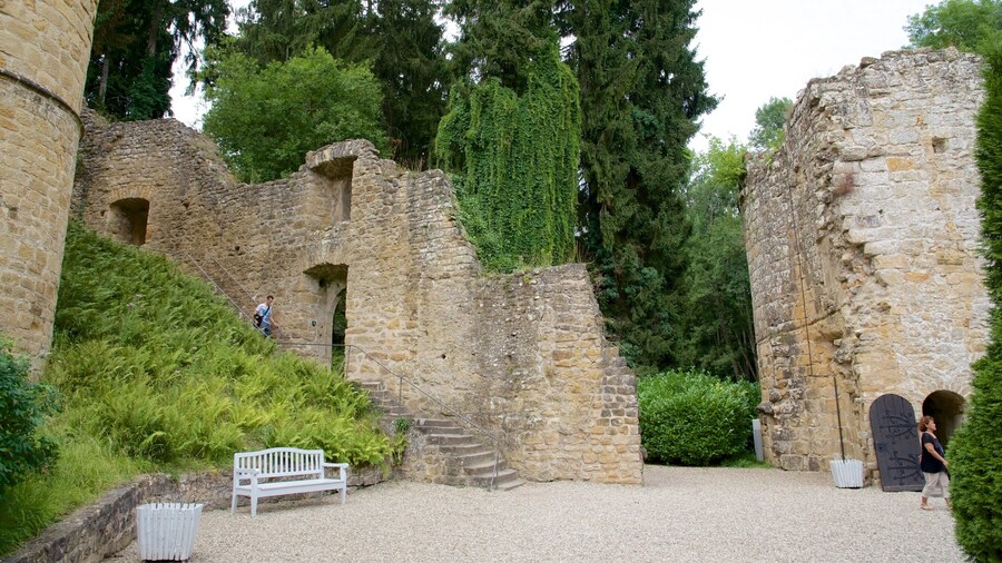 Luxembourg featuring a castle, heritage elements and heritage architecture