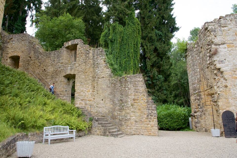 A historical stone structure with ivy-covered walls, a white bench, and a staircase leading up to an arched doorway.