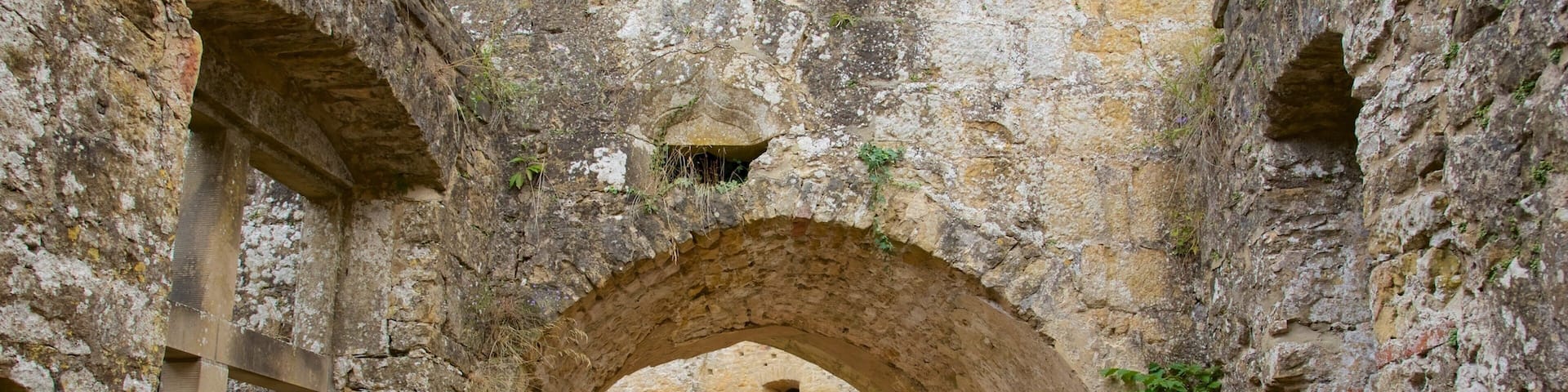 Luxembourg mettant en vedette patrimoine architectural, patrimoine historique et château ou palais