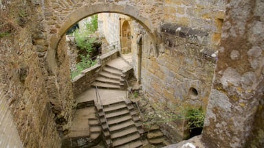 Luxembourg featuring heritage elements, a castle and heritage architecture