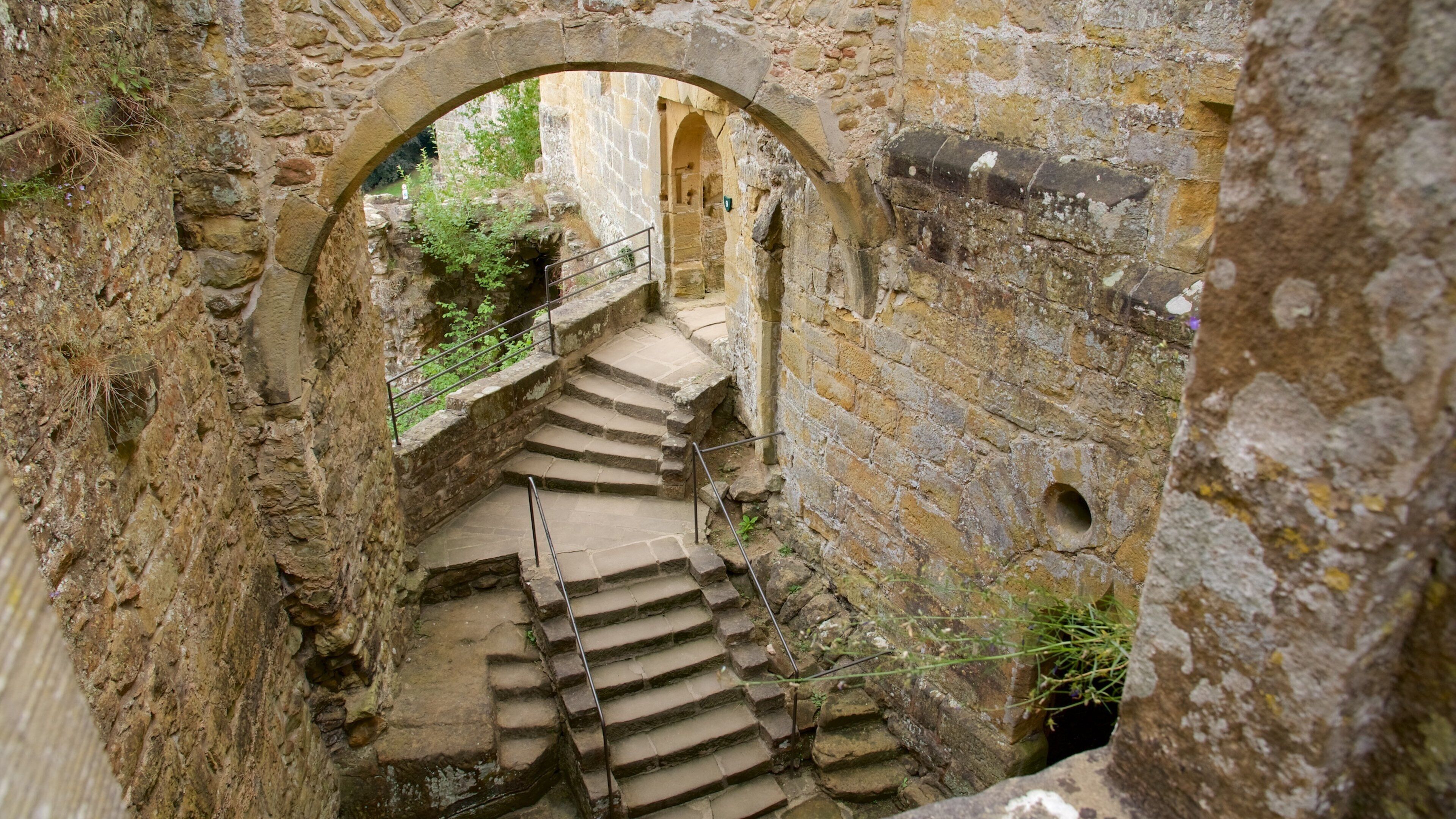A stone staircase leading up to an arched doorway in a historic building.