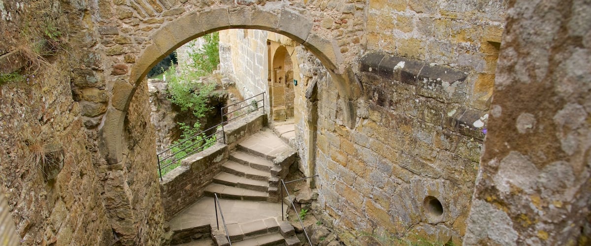 A stone staircase leading up to an arched doorway in a historic building.