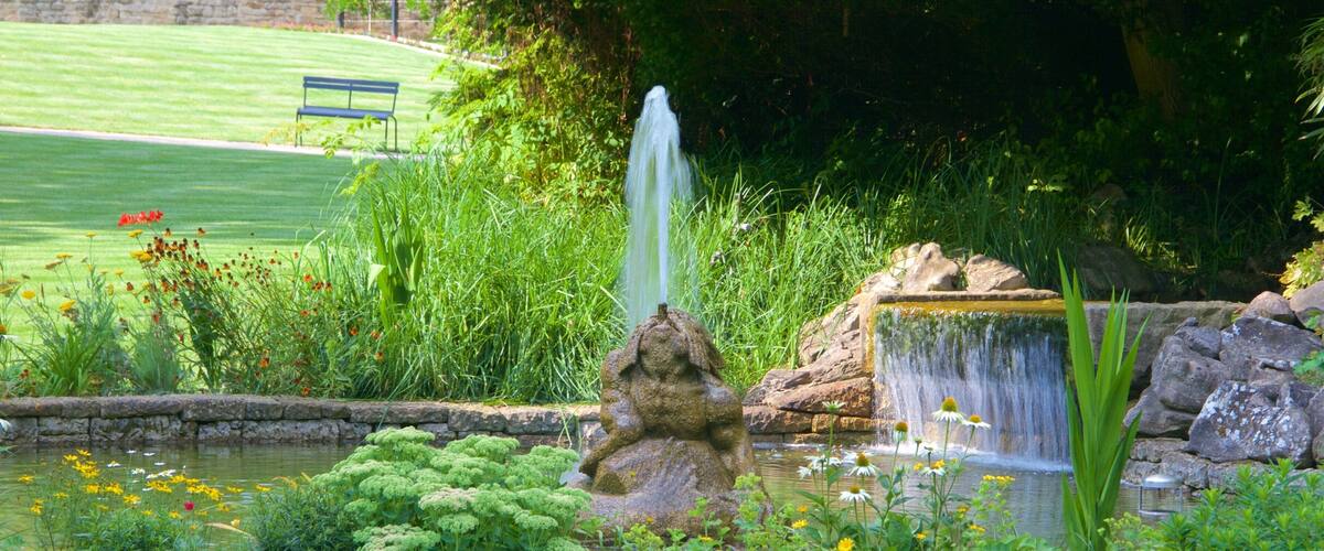 Luxembourg showing a park and a fountain
