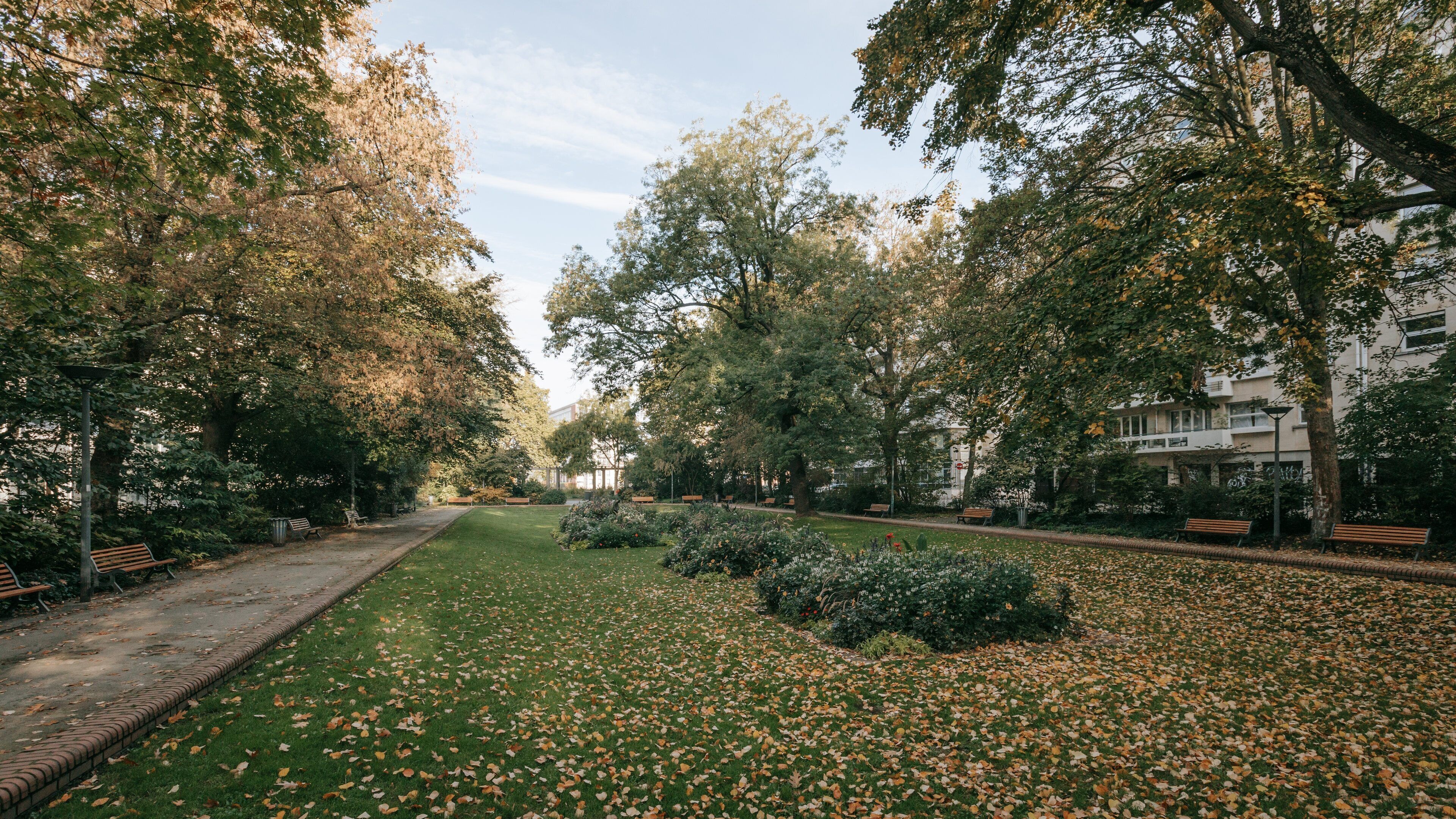 Petit Quinquin Statue which includes a garden and autumn leaves