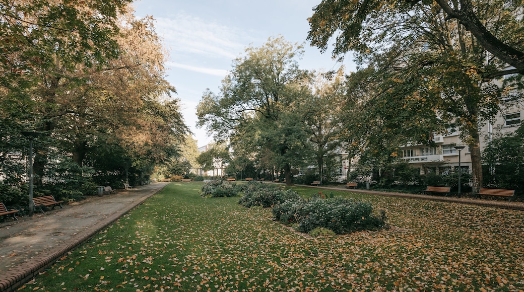 Petit Quinquin Statue which includes a garden and autumn leaves