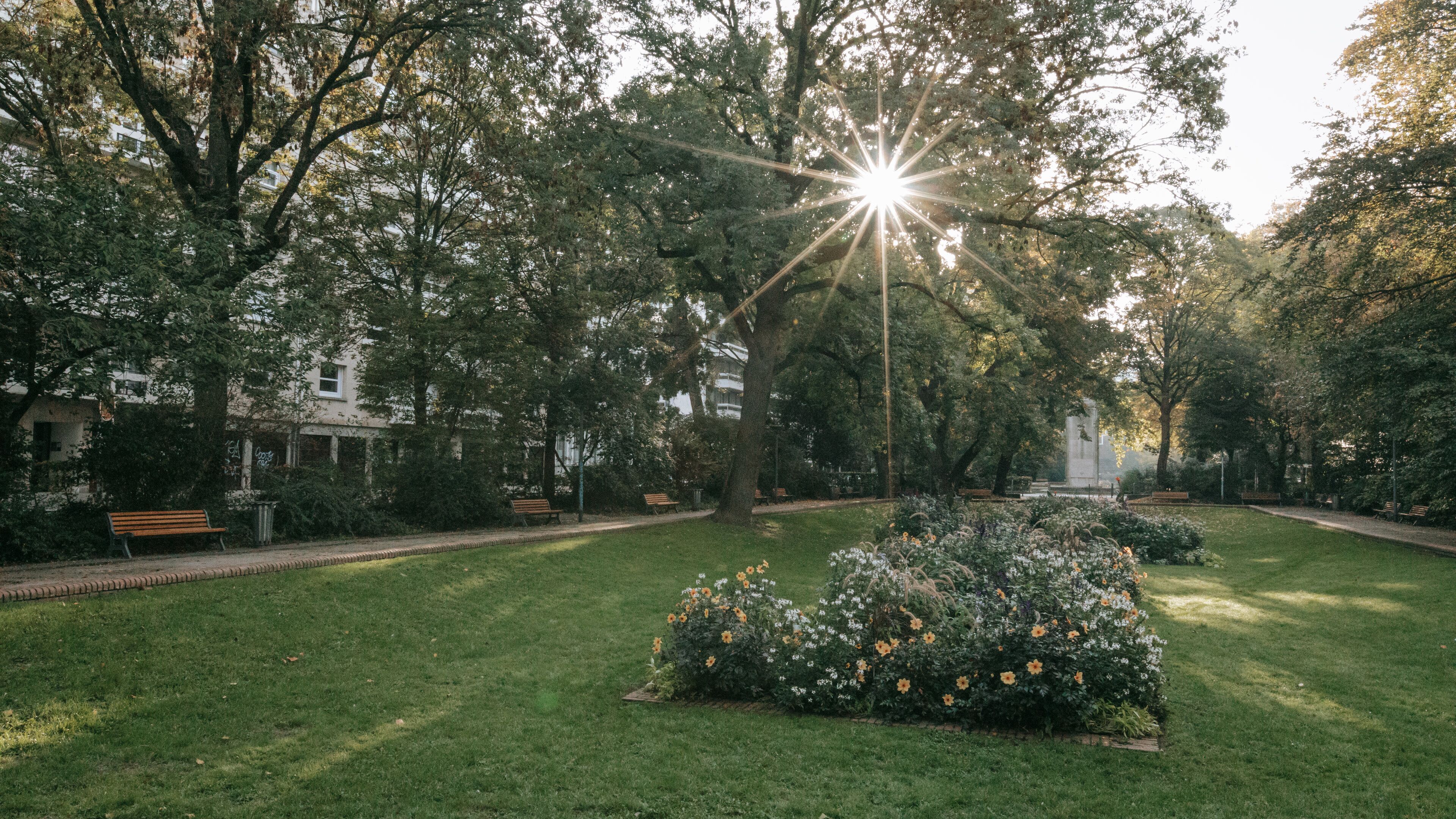 Petit Quinquin Statue which includes a park and wildflowers