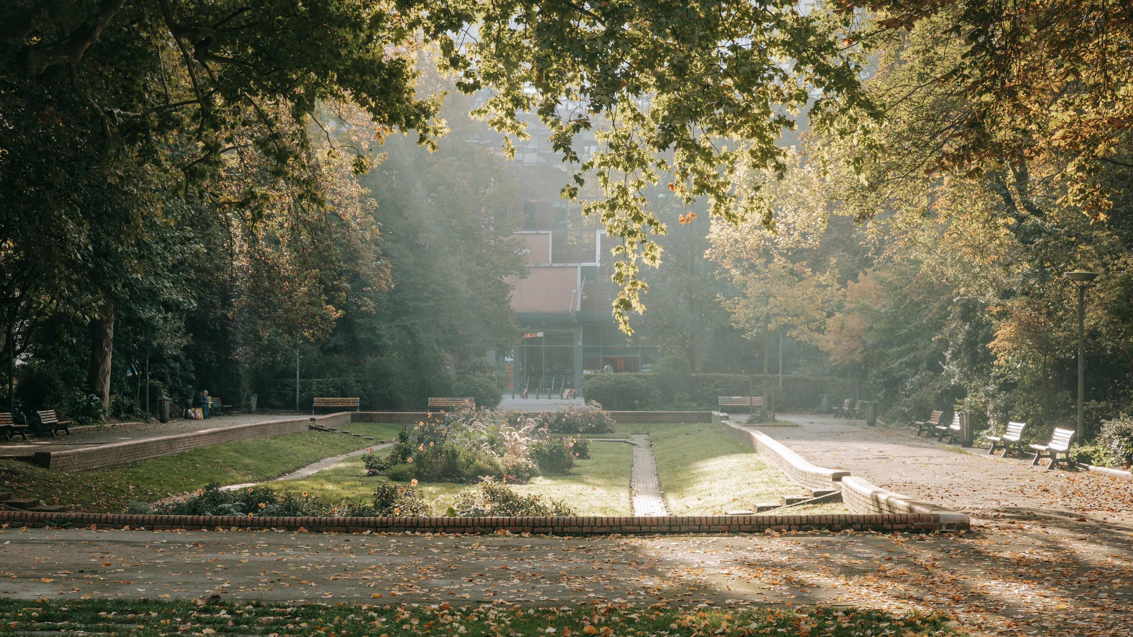Petit Quinquin Statue which includes a park and autumn leaves