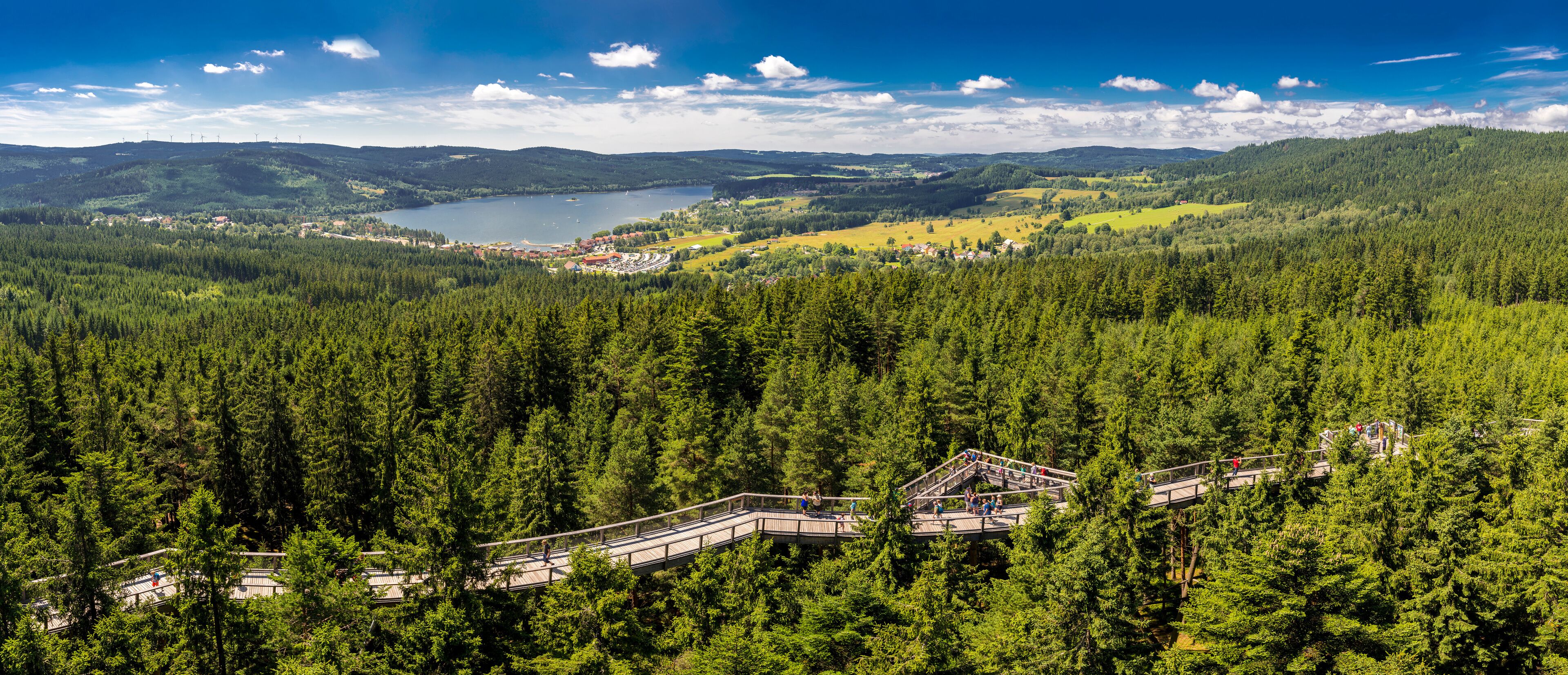 Amazing panorama of Lipno Dam and Sumana national park from Treetop Walkway,  Lipno nad Vltavou, South Bohemia, Czech Republic