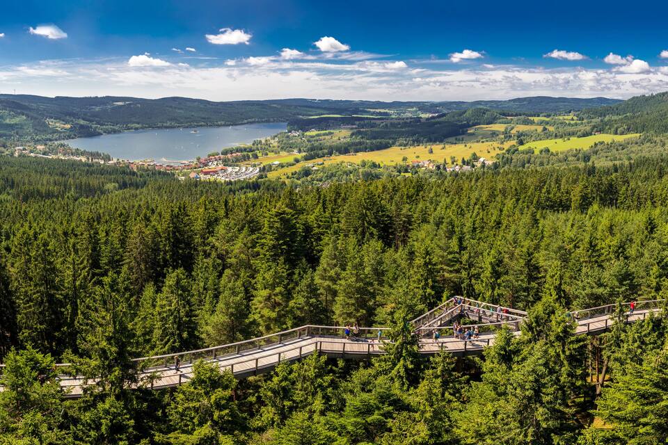 Paisagem arborizada com um lago, uma ponte e edifícios ao longe.