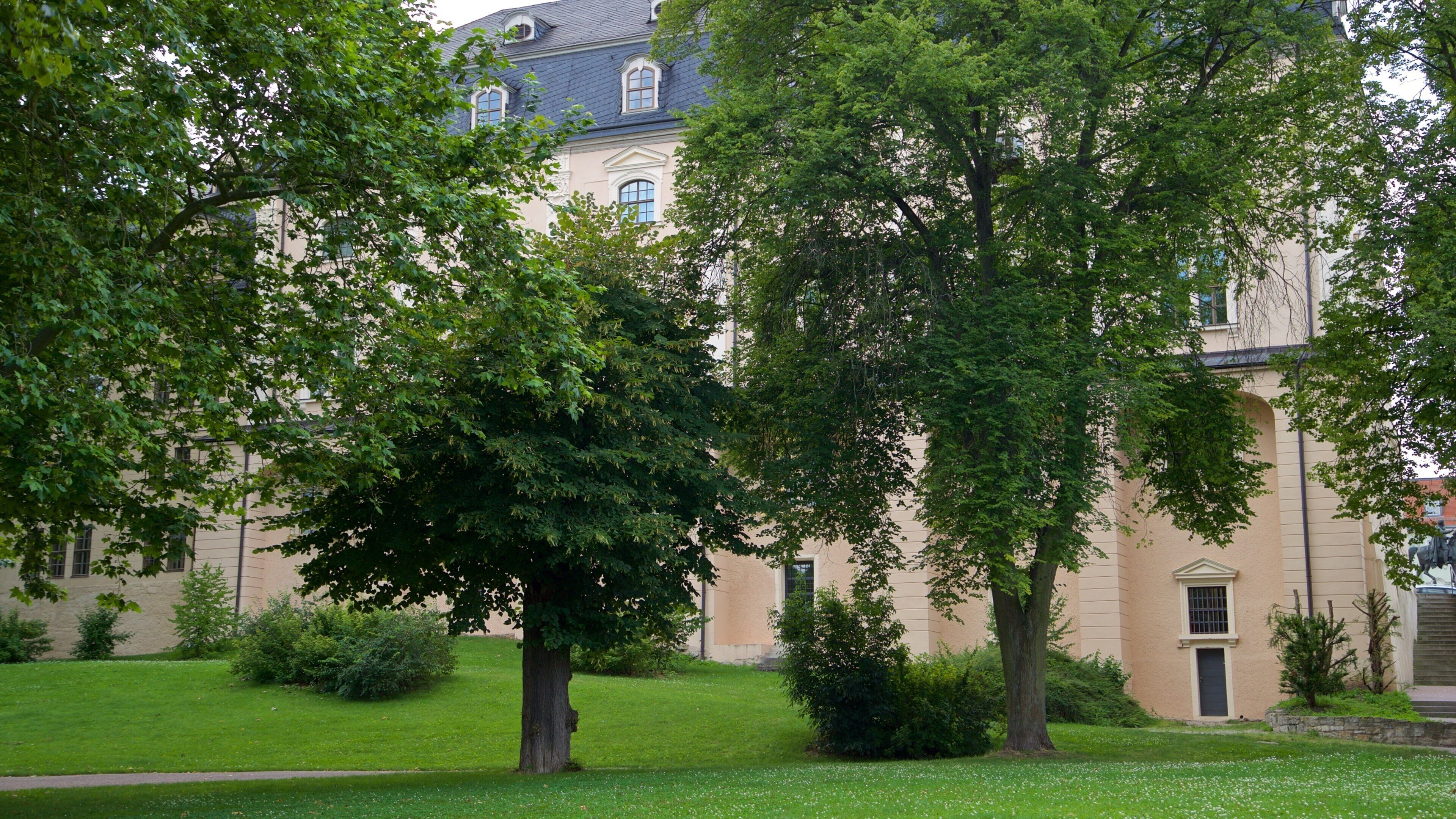 Duchess Anna Amalia Library que incluye un parque