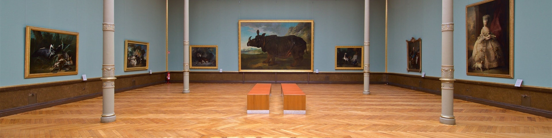 Museum Schwerin que inclui arte e vistas internas