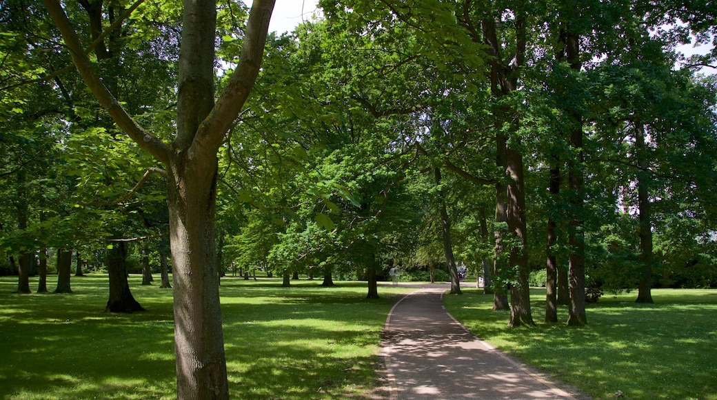 Warnemuende Kur Park which includes a garden