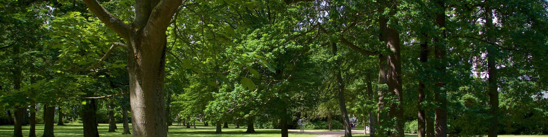 Warnemuende Kur Park which includes a garden