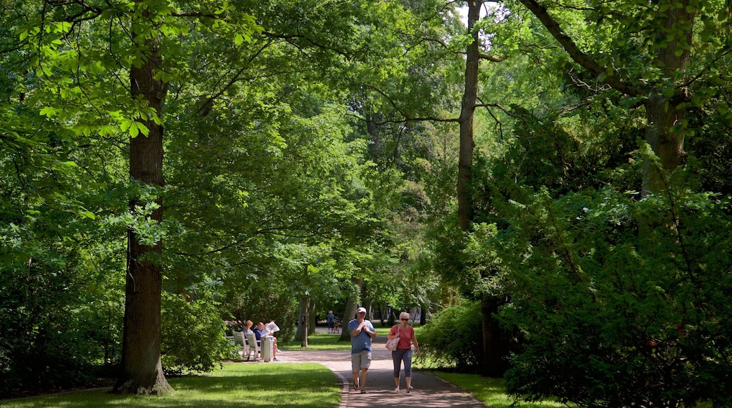 Warnemuende Kur Park showing a garden as well as a couple