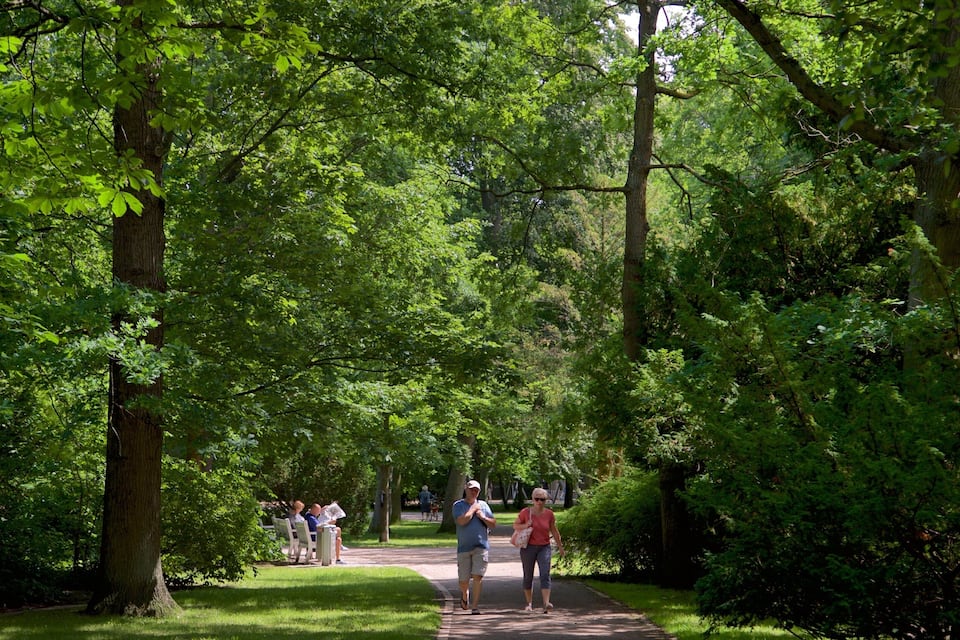 Un parc doté d’un sentier pédestre, bordé d’arbres verdoyants et luxuriants.