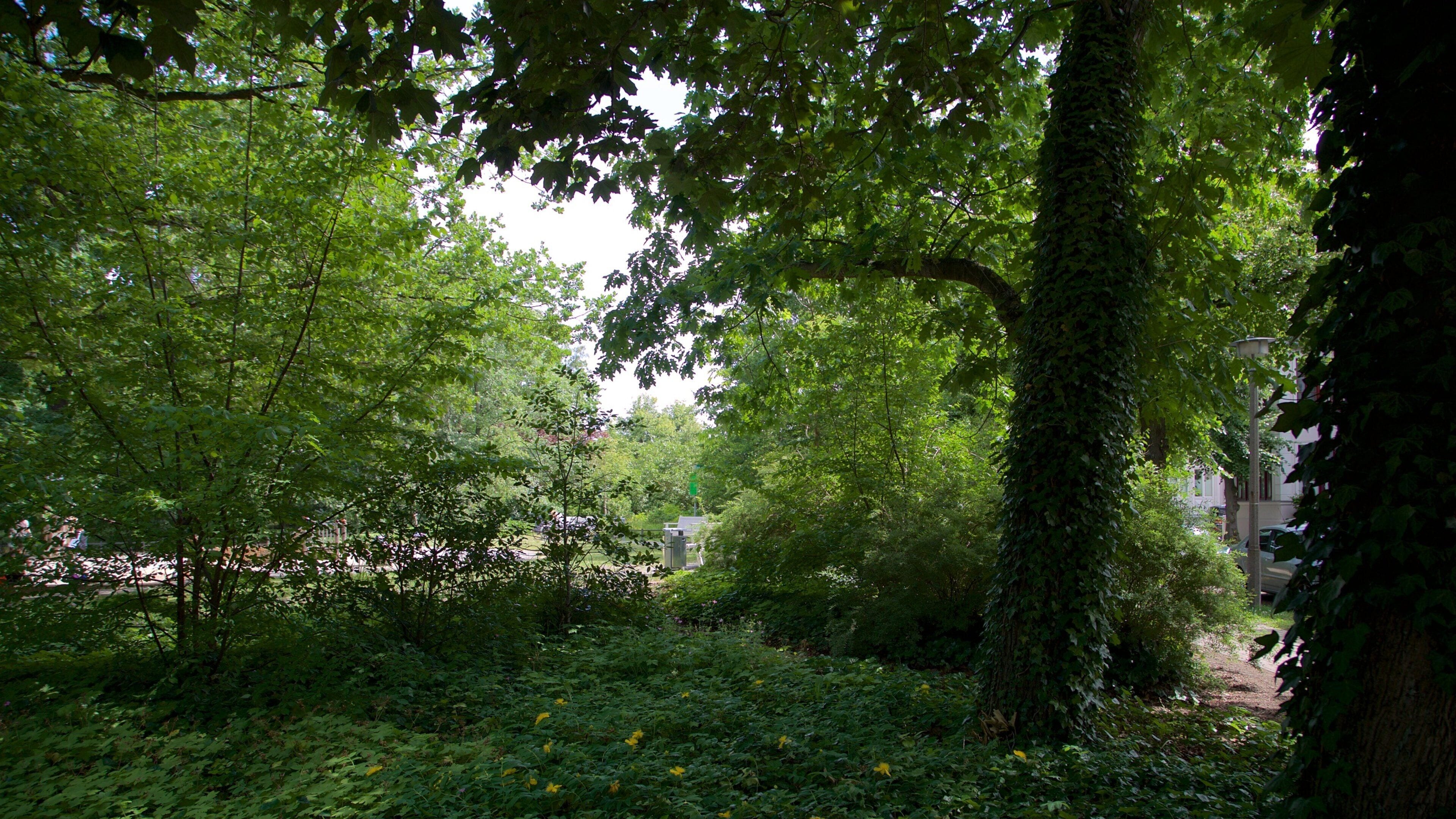 WarnemĂŒnde Kurpark som visar en trĂ€dgĂ„rd