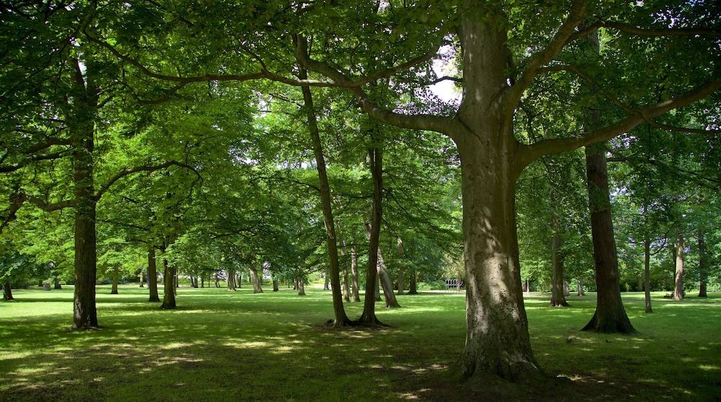 沃讷姆恩德库尔公园