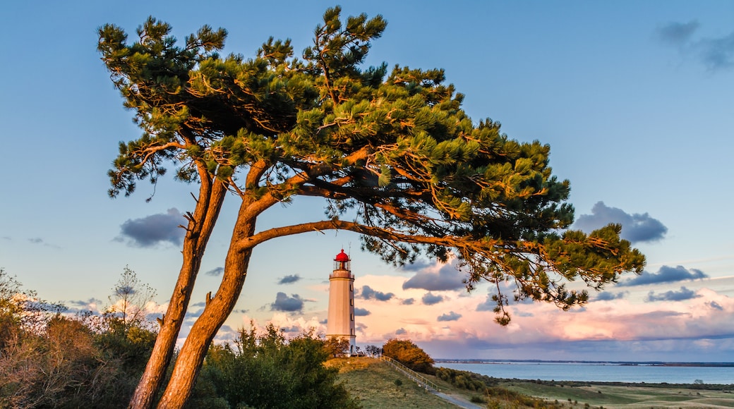 Hiddensee Leuchtturm Dornbusch am Abend