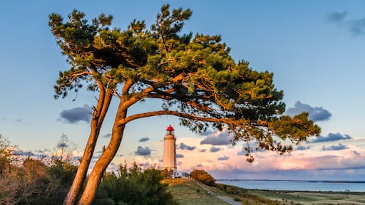 Hiddensee Leuchtturm Dornbusch am Abend
