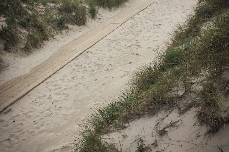 Un sentiero sabbioso tra dune e vegetazione rada.