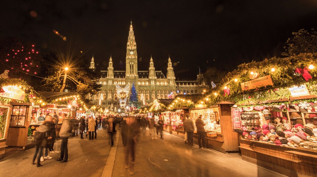 Vienna Christmas market