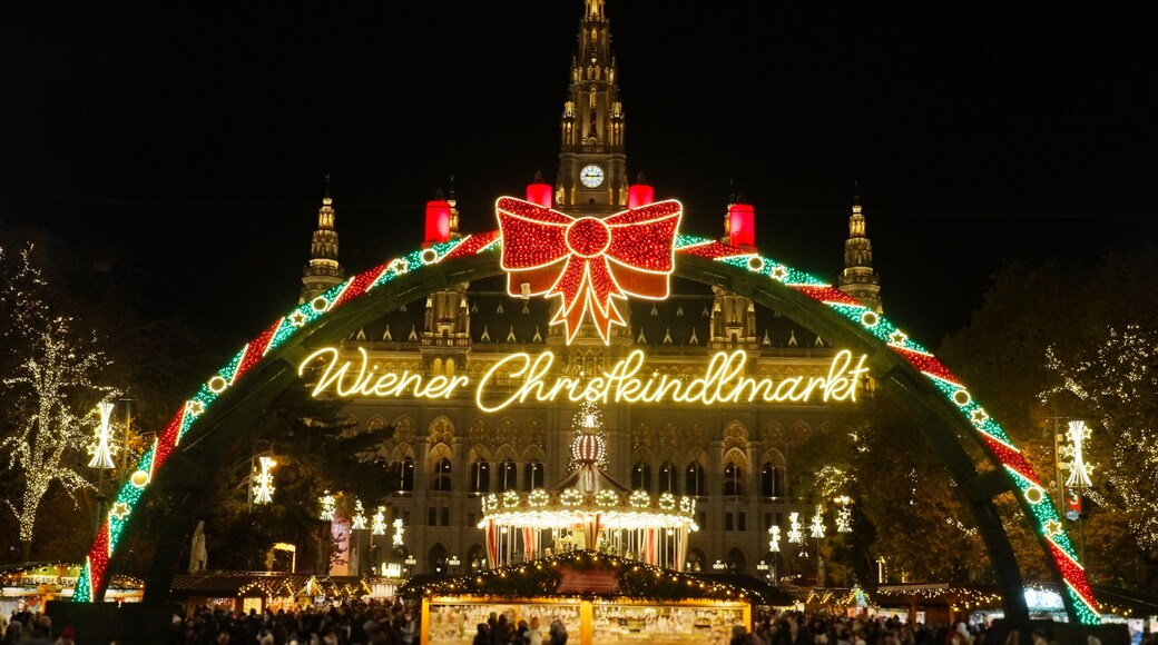 Vienna Christmas market
