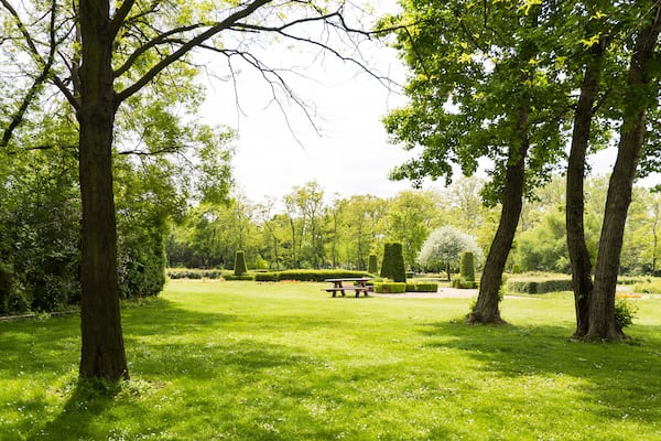 View on danube park with green grass, trees and bench, austria