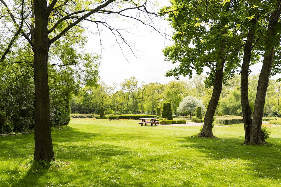 A park with a picnic table, lush green grass, and neatly trimmed hedges.