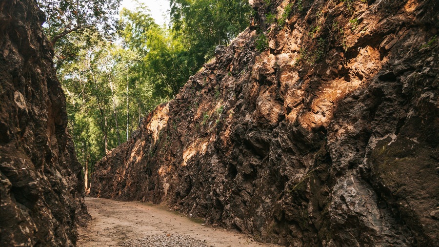 Un sendero estrecho de tierra flanqueado por riscos y una vegetación verde exuberante.