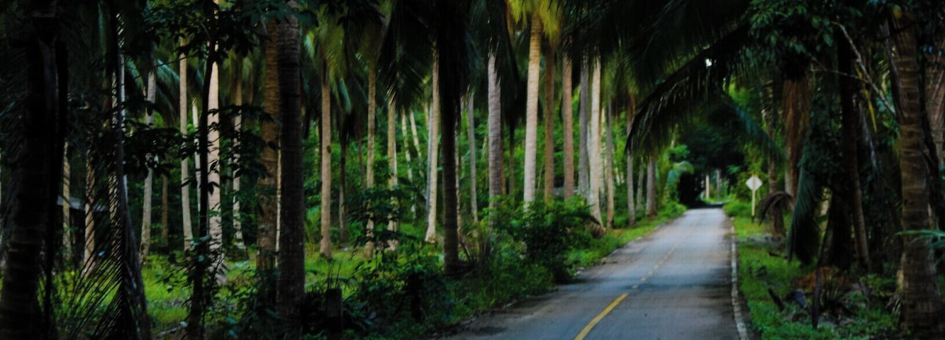 The road to Khiri Phet Waterfall on Koh Chang.
Hidden in the Thai jungle, Khiri Phet Waterfall is a peaceful gem on Koh Chang. If you rent a motorbike to tour the island, I highly recommend making the trip to this waterfall. It's at the end of a tiny, unmarked, palm lined lane, along a jungle path, over a shin deep stream, through an abandoned rubber plantation and up a small rocky slope. The upper pit of the falls is very deep and has a strong back current, so unless you're a good swimmer, keep your feet on the ground.
#outside #outdoor #thailand #asia #waterfall