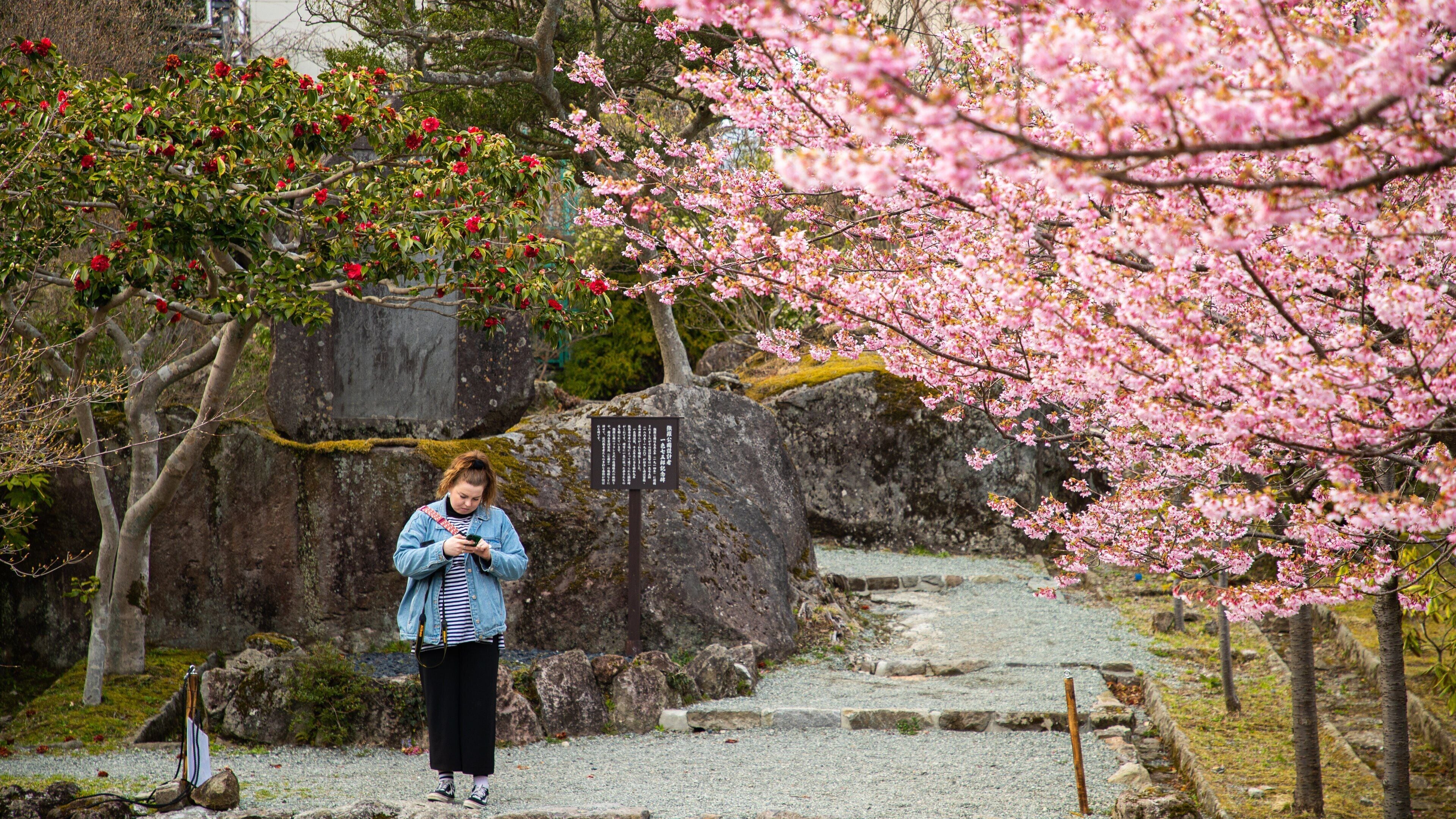 Hakone Gora Park which includes a park and wildflowers as well as an individual femail