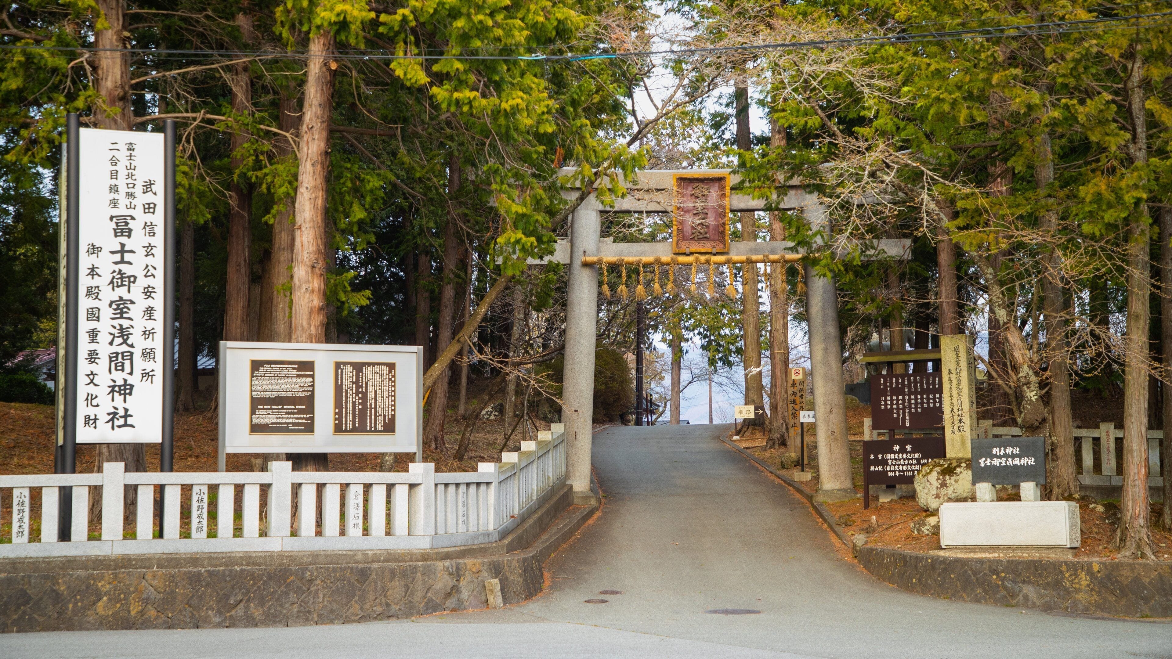 Perinteinen japanilainen torii-portti pyhäkön sisäänkäynnillä, ja portin ympärillä on puita.