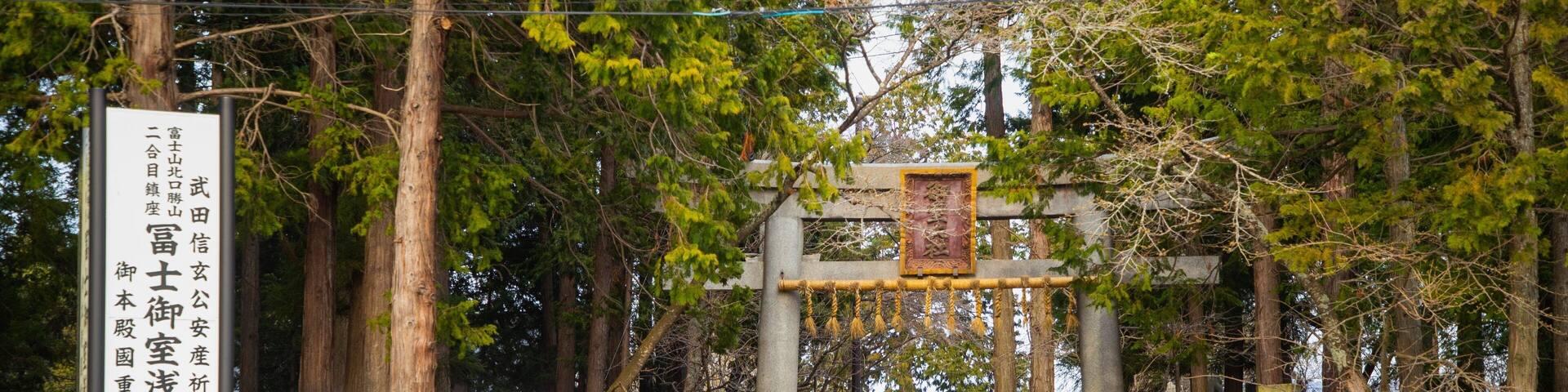 A traditional Japanese torii gate at the entrance of a shrine surrounded by trees.