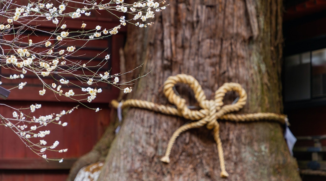 Kitaguchiihongu Fuji Sengen Shrine