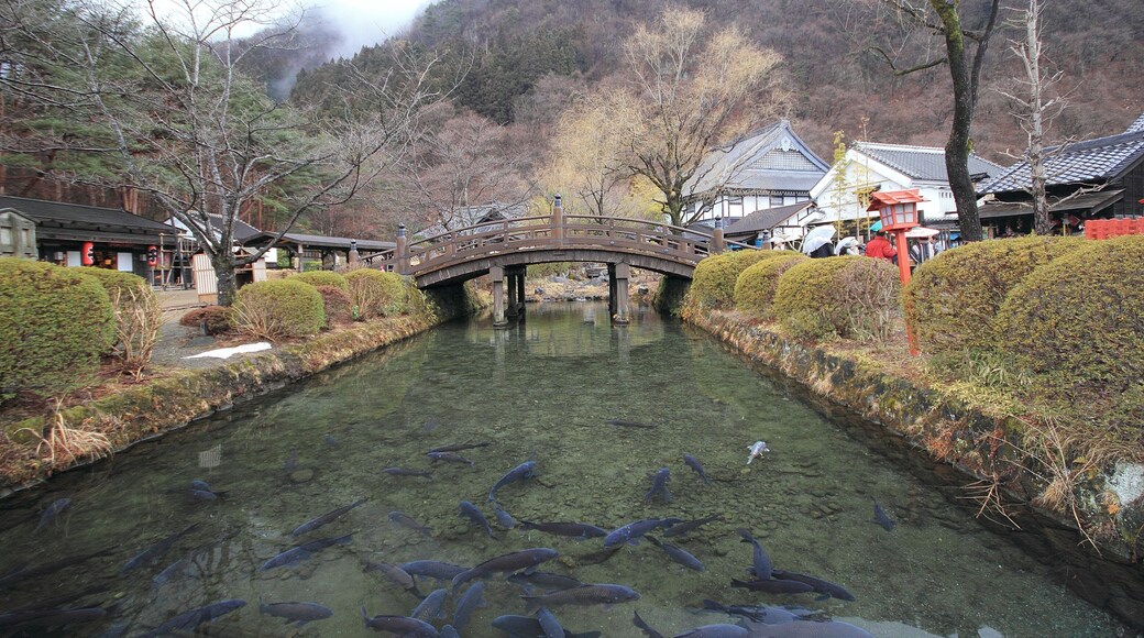 edo wonderland in japan; Shutterstock ID 185767364