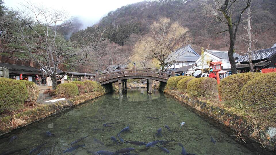 A traditional Japanese bridge over a clear river with koi fish, surrounded by well-maintained bushes and traditional buildings.