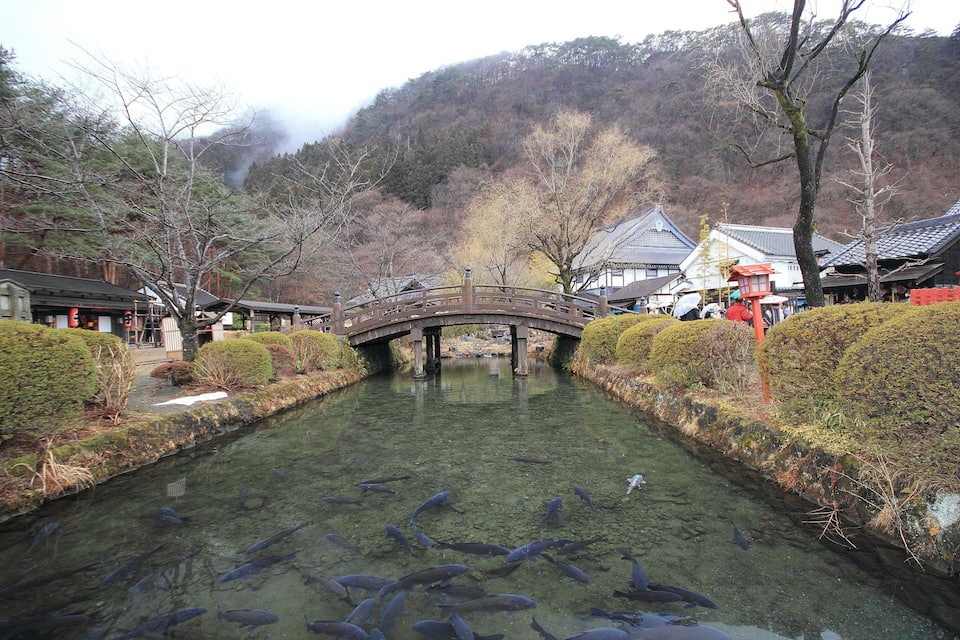 A traditional Japanese bridge over a clear river with koi fish, surrounded by well-maintained bushes and traditional buildings.