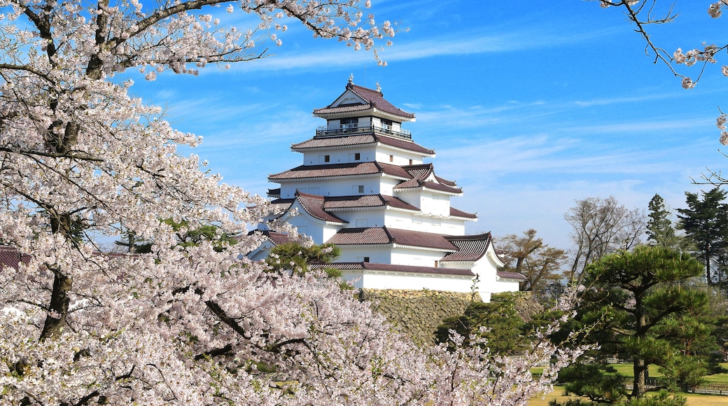 Aizuwakamatsu Castle and cherry blossom in Fukushima, Japan., Shutterstock ID 577161169, SF SSA Case with Manager Approval: Case 07151371, Job: Prepay credit, Client/Licensee: , Other: