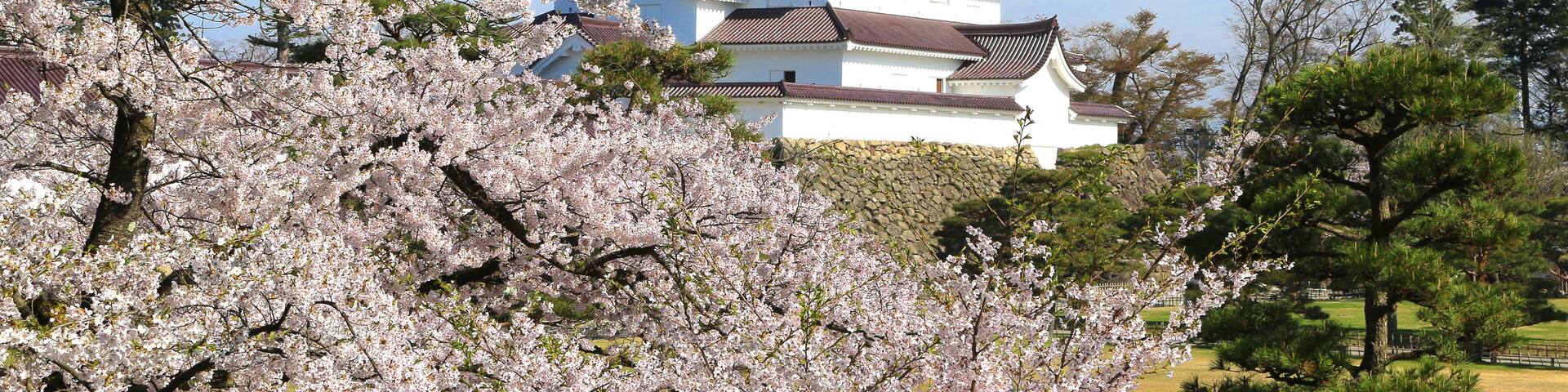 Aizuwakamatsu Castle and cherry blossom in Fukushima, Japan., Shutterstock ID 577161169, SF SSA Case with Manager Approval: Case 07151371, Job: Prepay credit, Client/Licensee: , Other: