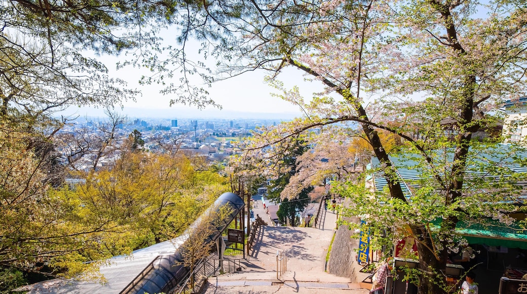 PET32J AIZUWAKAMATSU, JAPAN - APRIL 21 2018: Way up to The grave site of Byakkutai (White Tiger Force) at Mt. Iimori
