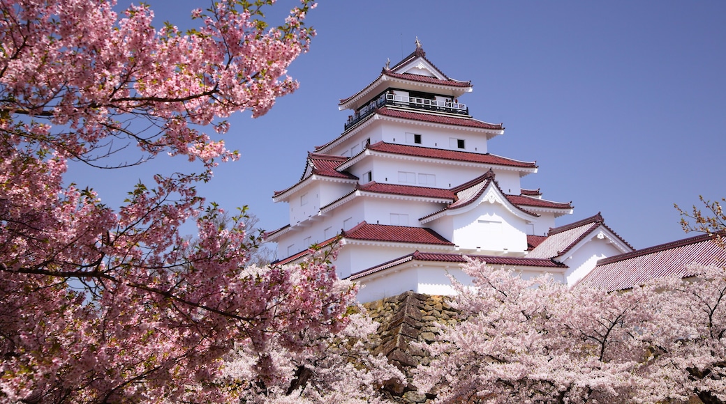 Aizuwakamatsu Castle and cherry blossom in Fukushima, Japan, Shutterstock ID 107468783, SF SSA Case with Manager Approval: Case 07151371, Job: Prepay credit, Client/Licensee: , Other: