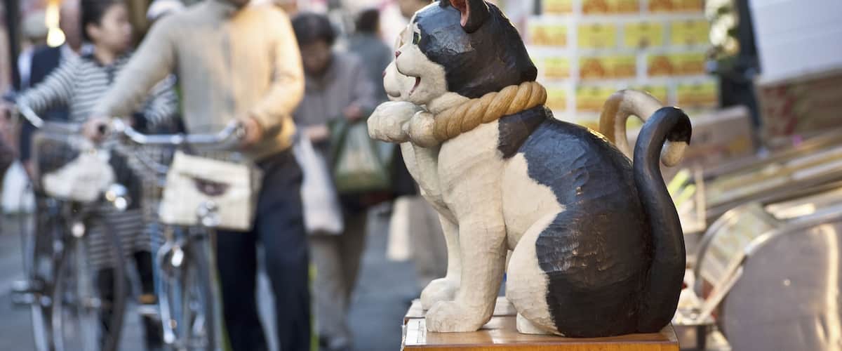 An Image of Object Of Cat; Shutterstock ID 202378009