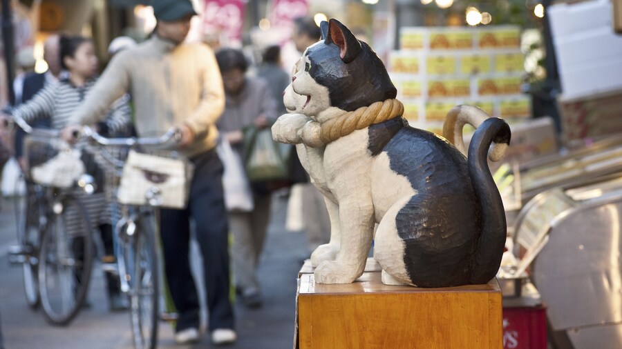 An Image of Object Of Cat; Shutterstock ID 202378009