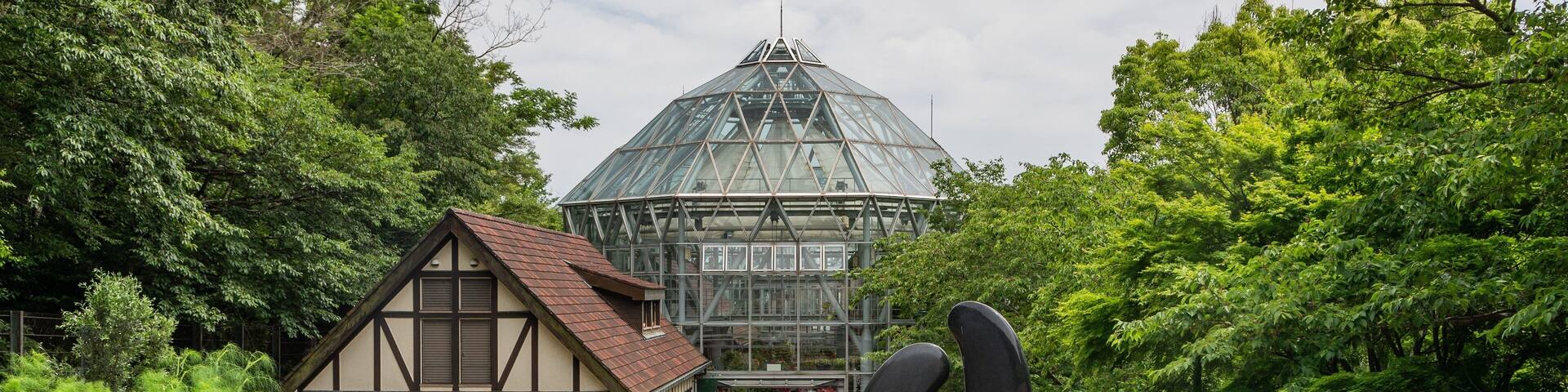 Nunobiki Herb Park showing flowers and a garden
