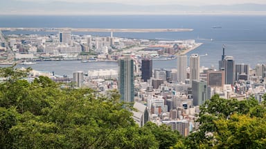 Nunobiki Herb Park featuring a bay or harbor, landscape views and a city