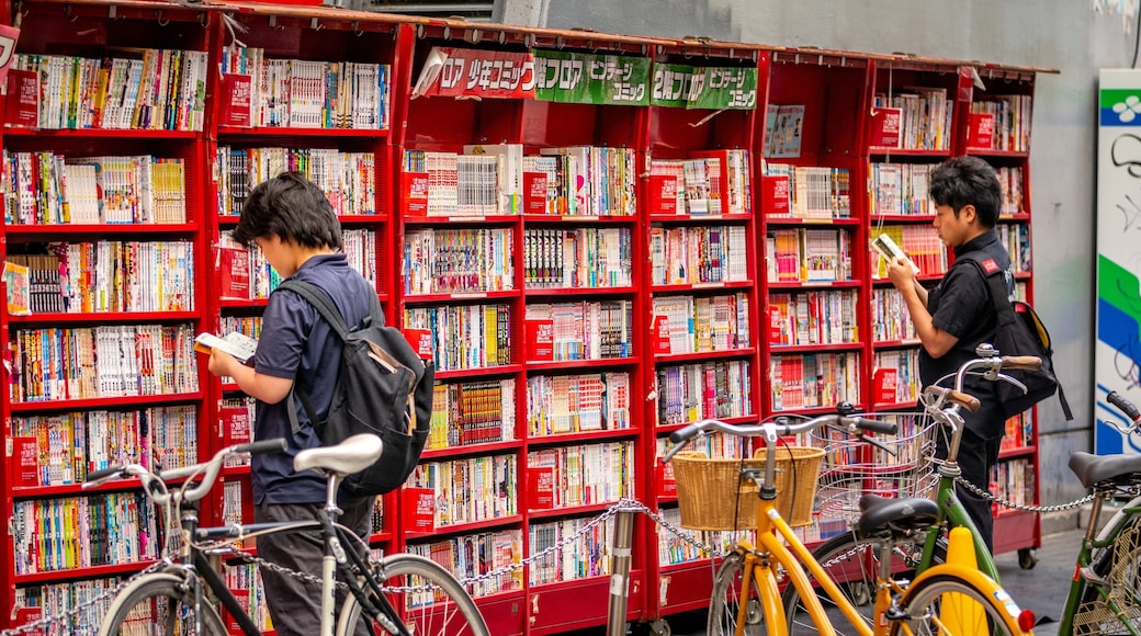 America Village showing interior views as well as a couple