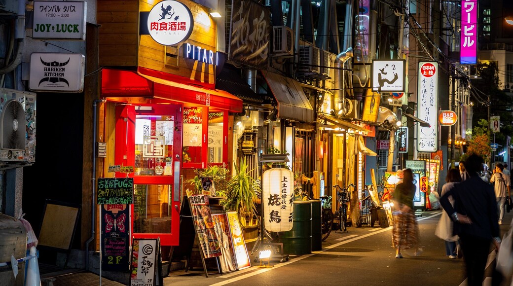 America Village showing a city, street scenes and night scenes